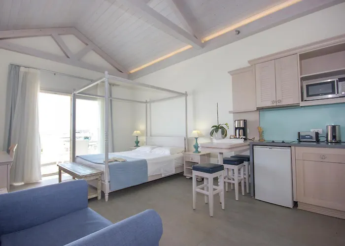 Apartament Thalassa Afiartis